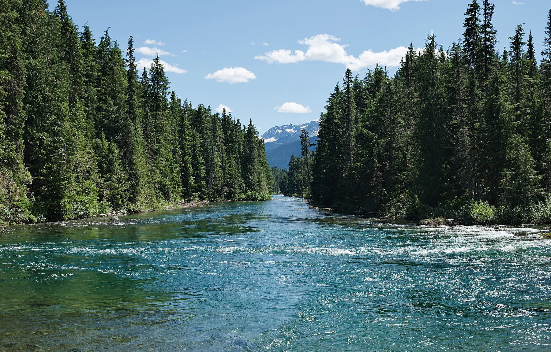 The Isaac River section of the Bowron Lake canoe circuit in British Columbia.