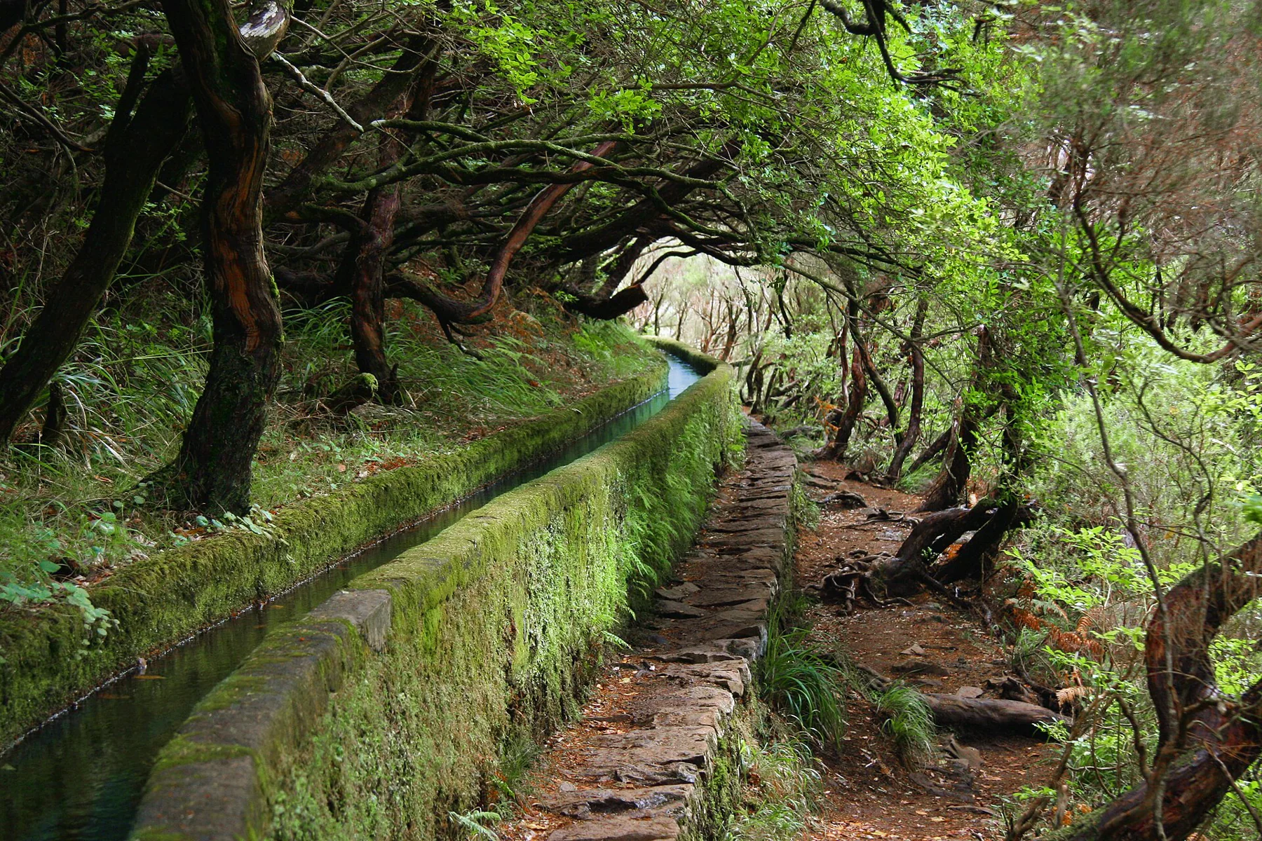 A levada path at Rabaçal on Madeira.
