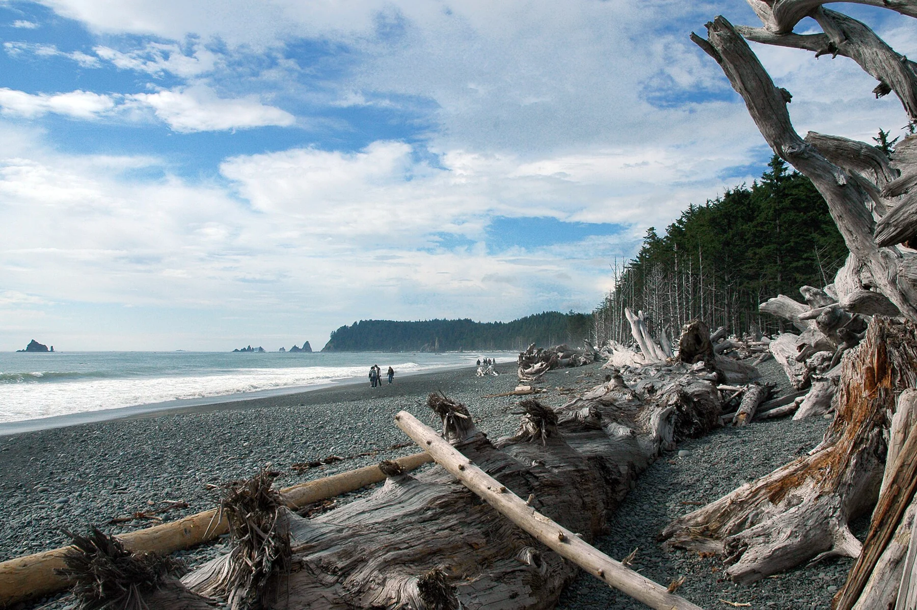 Rialto Beach on the Pacific coast of Olympic National Park.