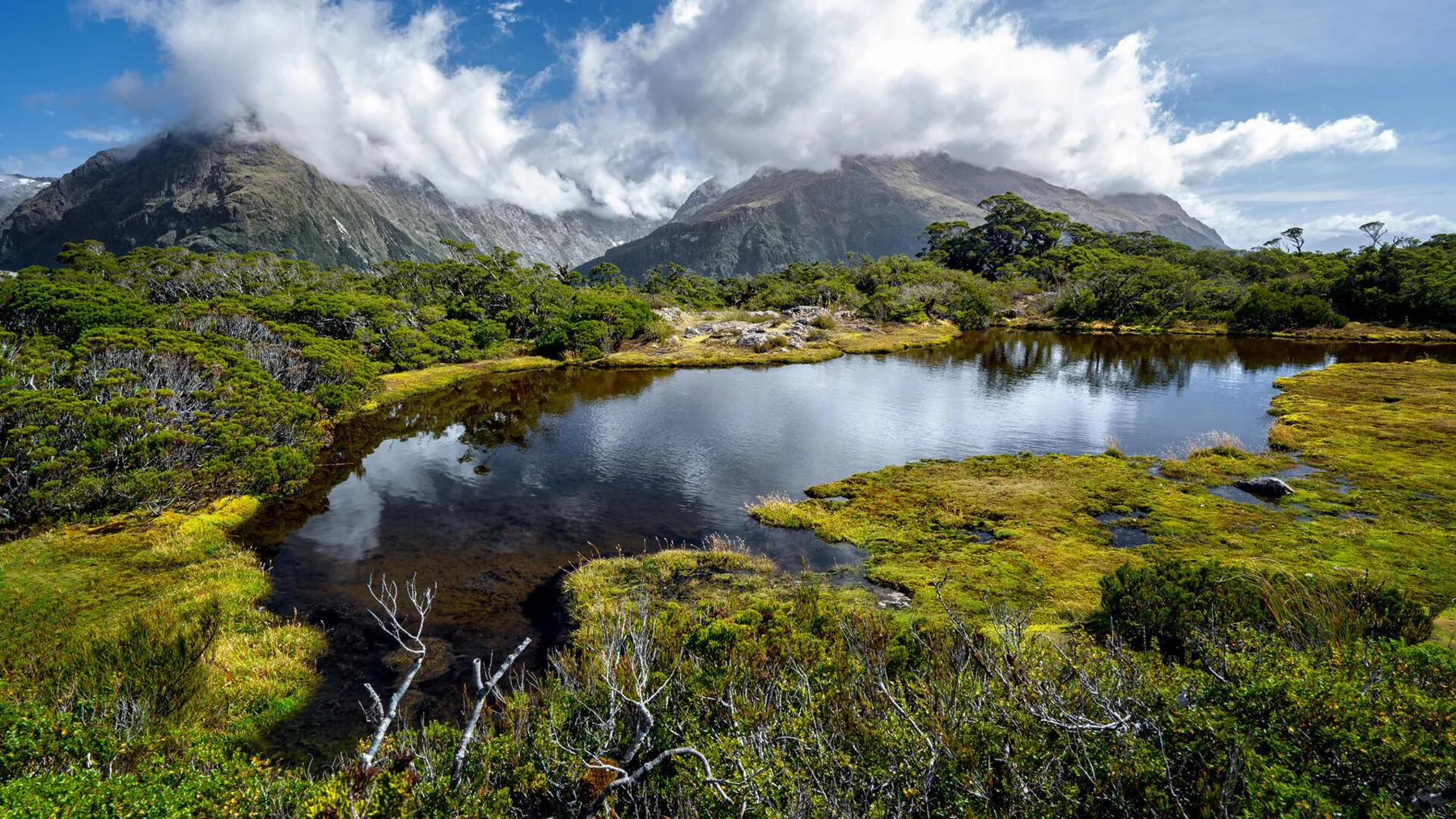 An alpine tarn on Key Summit above the Routeburn Track in Fiordland National Park, New Zealand.
