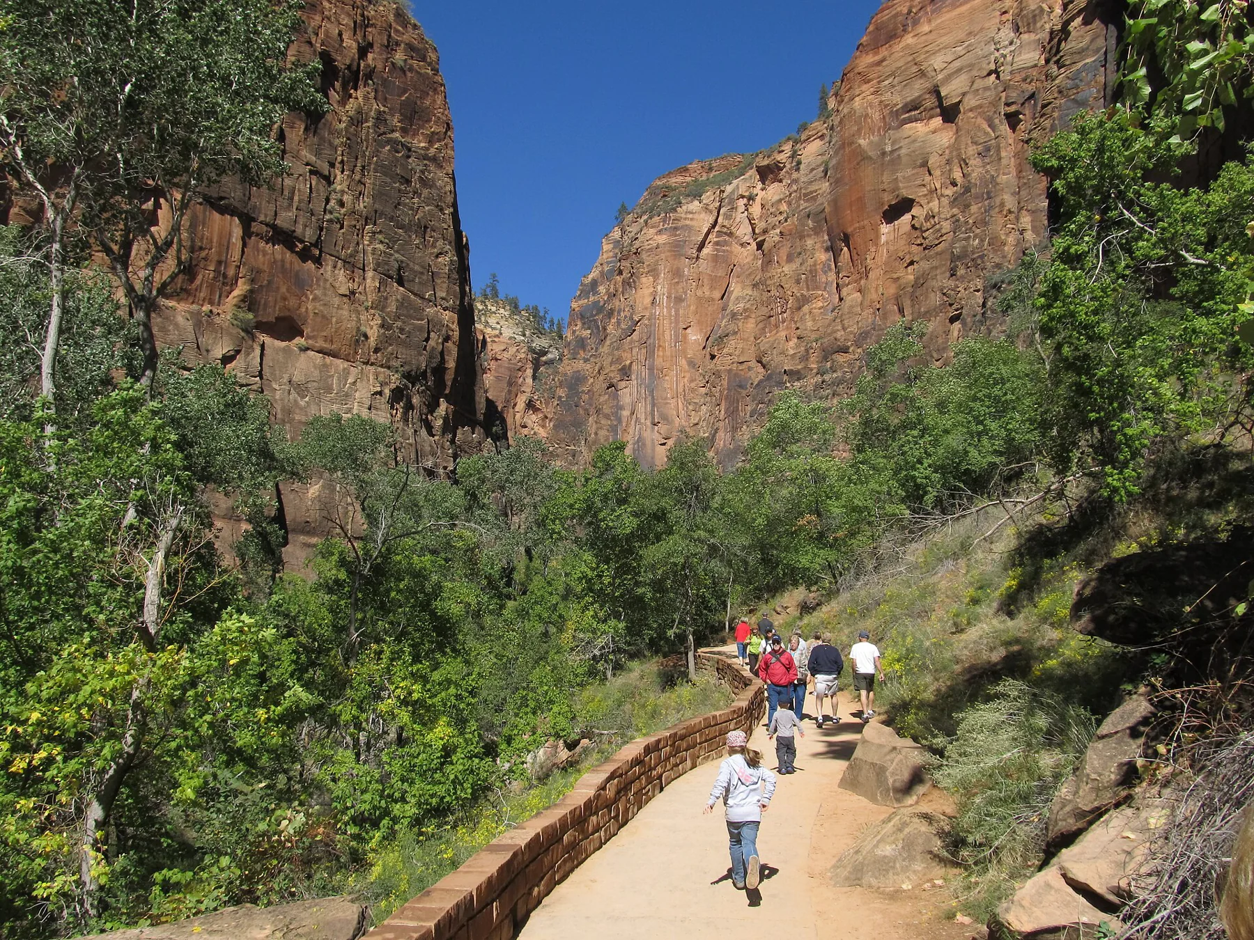 The paved Riverside Walk follows Zion Canyon toward the Narrows.