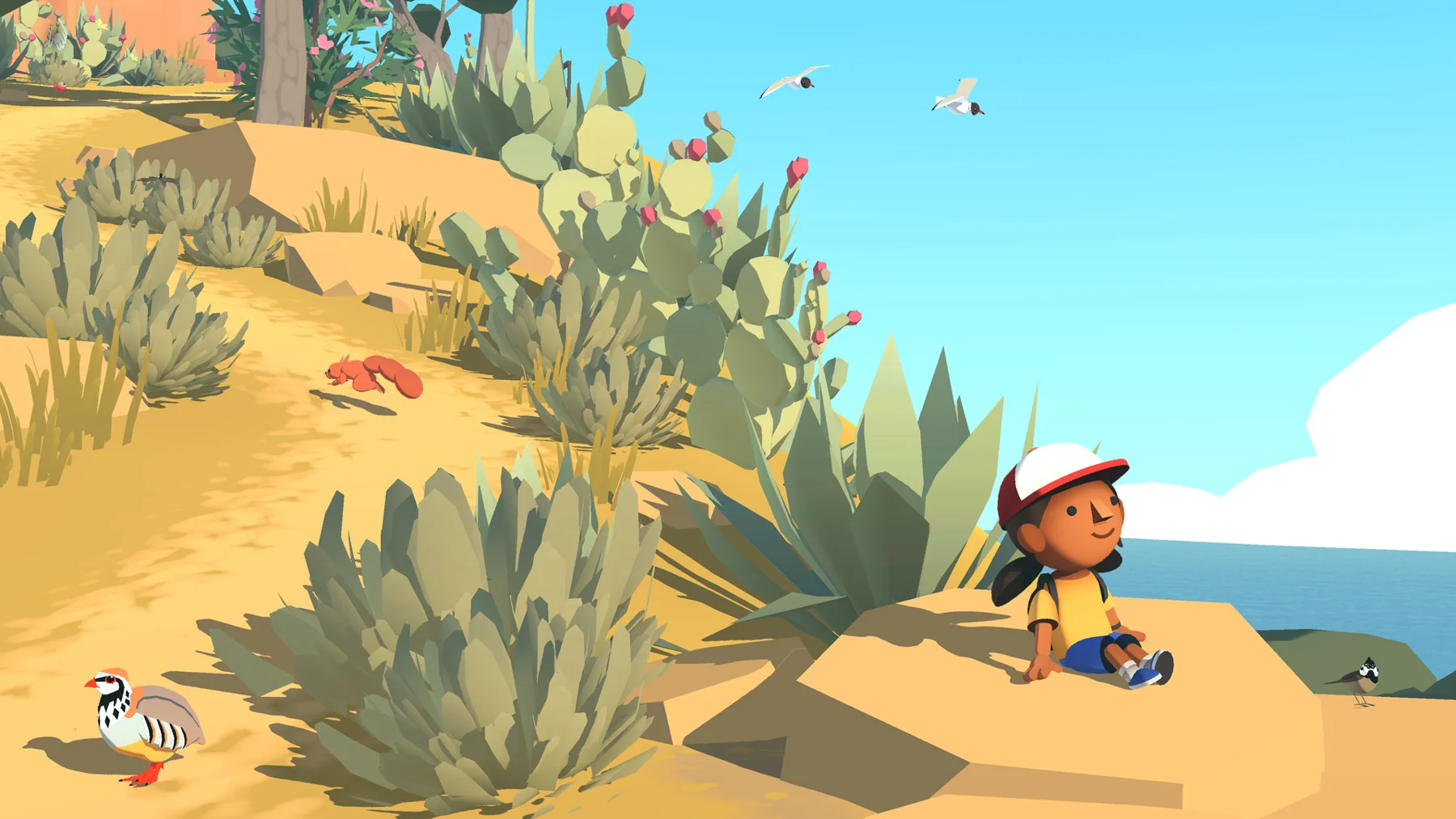 Official gameplay screenshot from Alba: A Wildlife Adventure