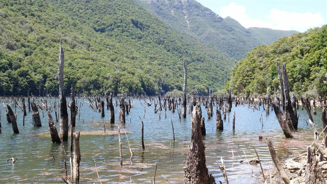 Lake Stanley. 