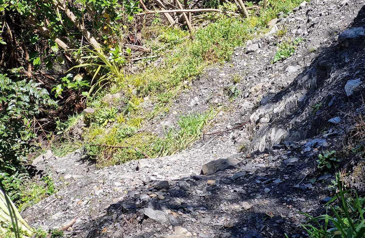 Slip on Atiwhakatu Track