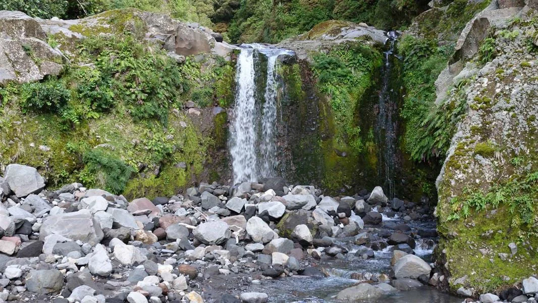 Curtis Falls. 