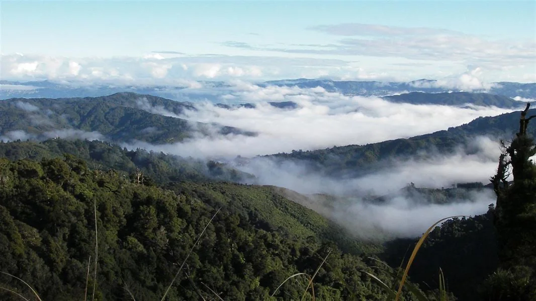 Misty mountains viewed from Mt McKerrow. 