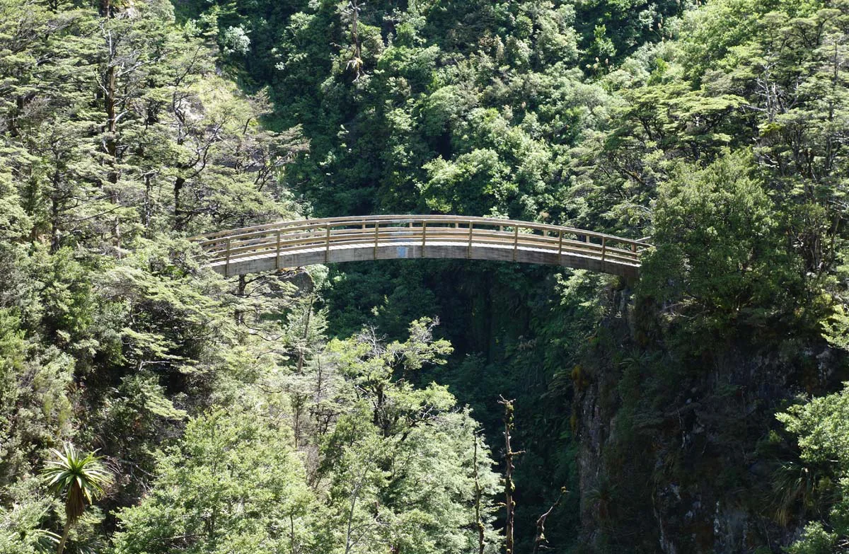 Curved bridge on Rangiwahia Hut Track. 