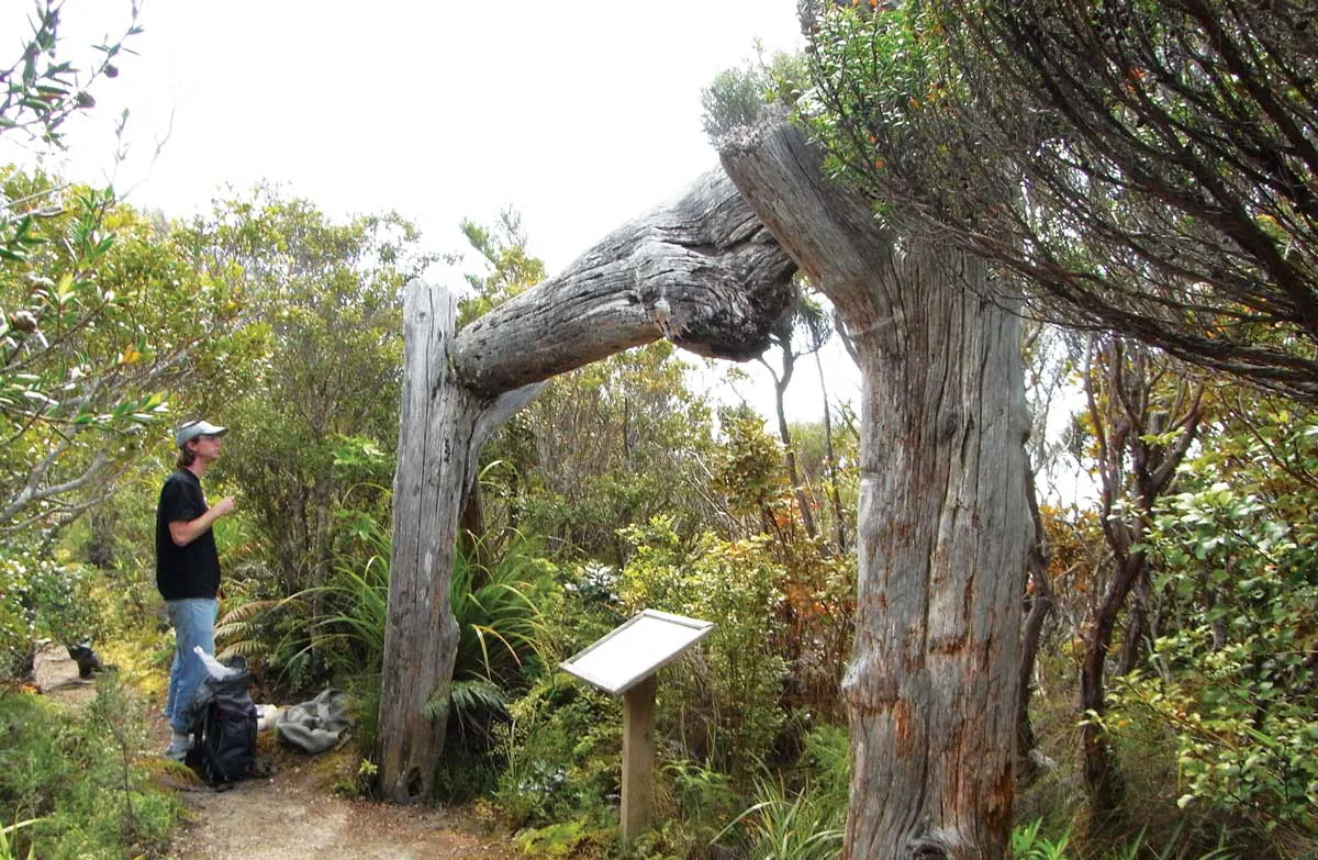 'Wooden horse' used for winching logs up and over the saddle. 