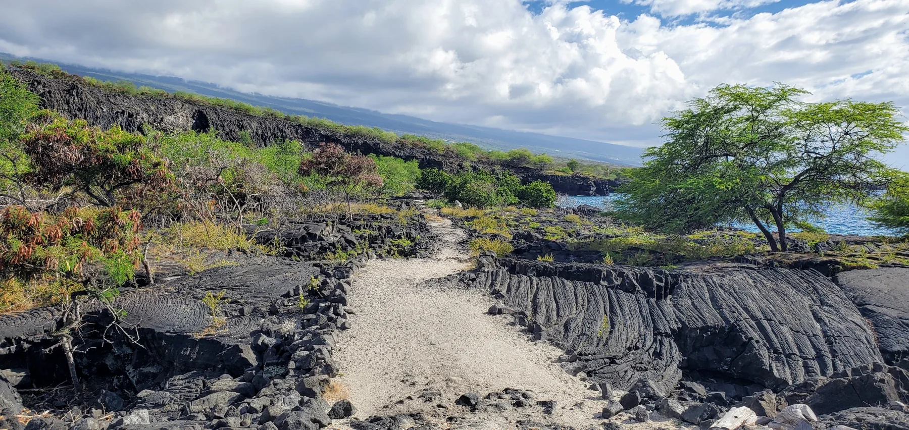 A sandy trail leads out along the coastline surrounded by black lava rock and vegetation.