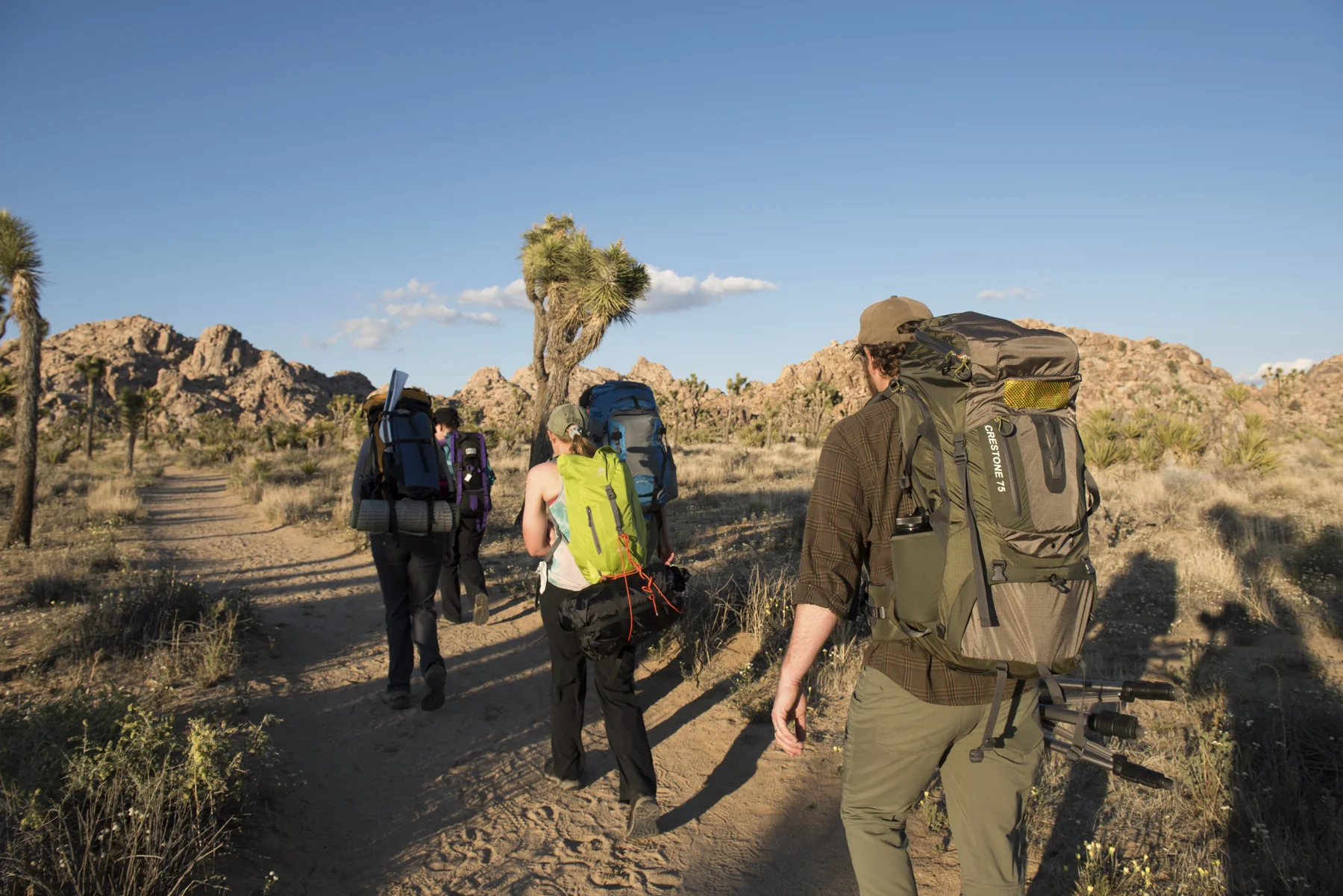 Four backpackers hiking down a dirt trail towards rocky outcrops on the horizon.