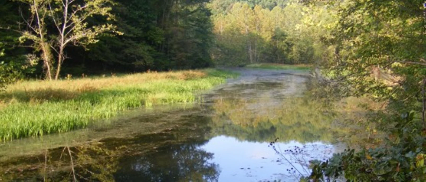 Chopawamsic Backcountry Area