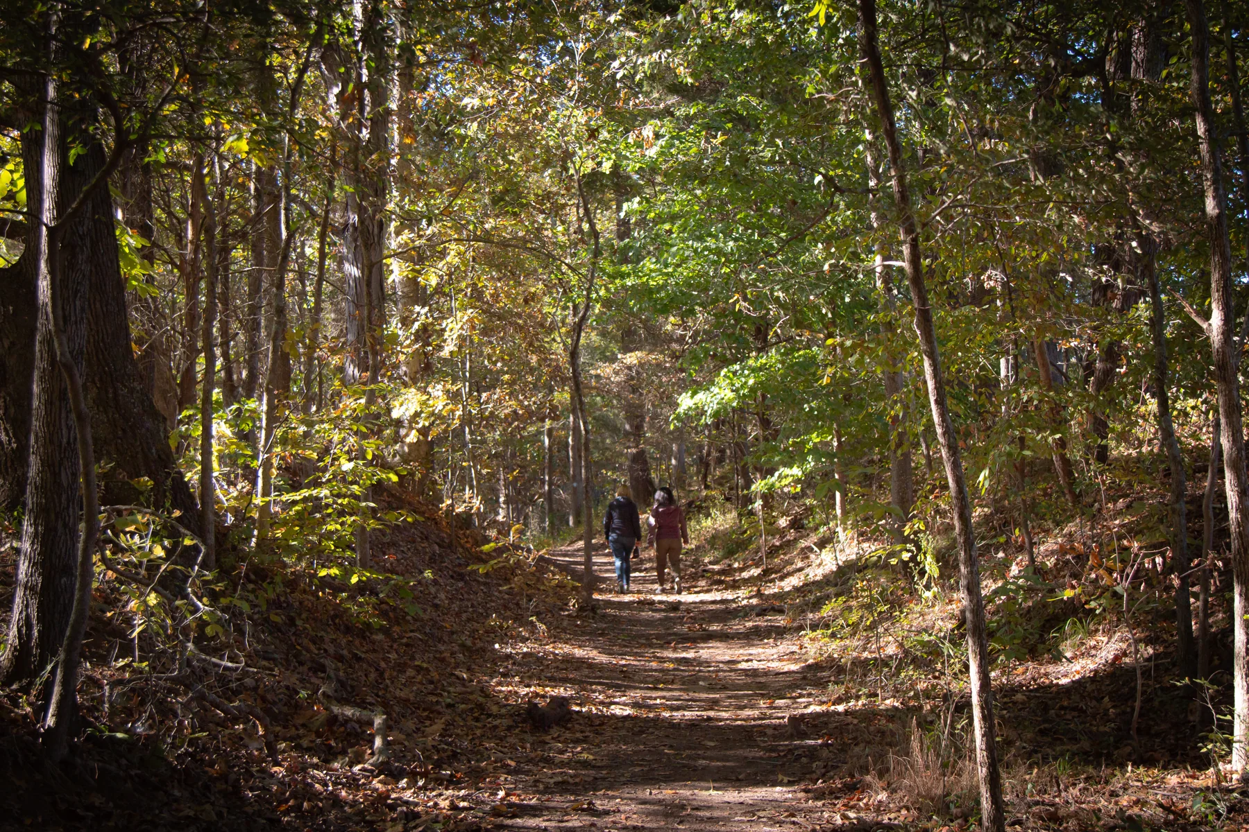 Two people walk down a trail in a dense wooded area.