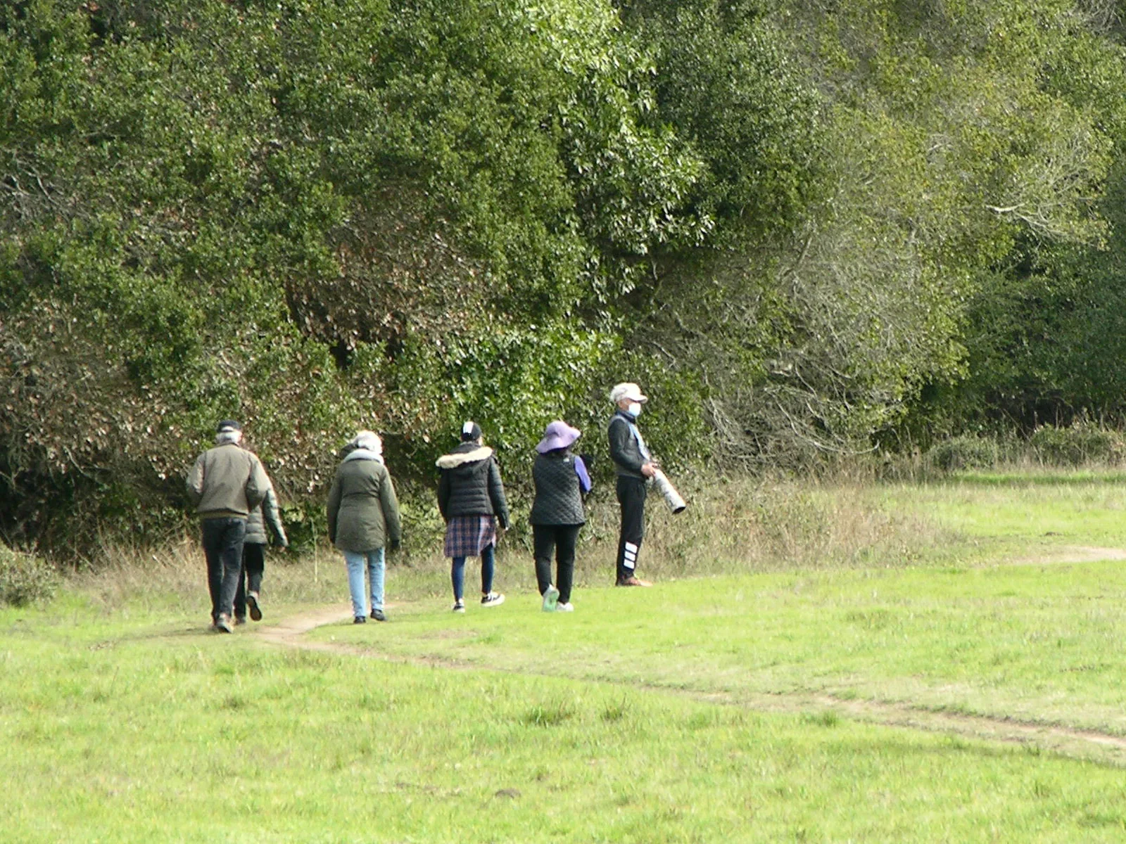 A group of hikers follows a narrow path beside a grassy meadow on the Rift Zone Trail.