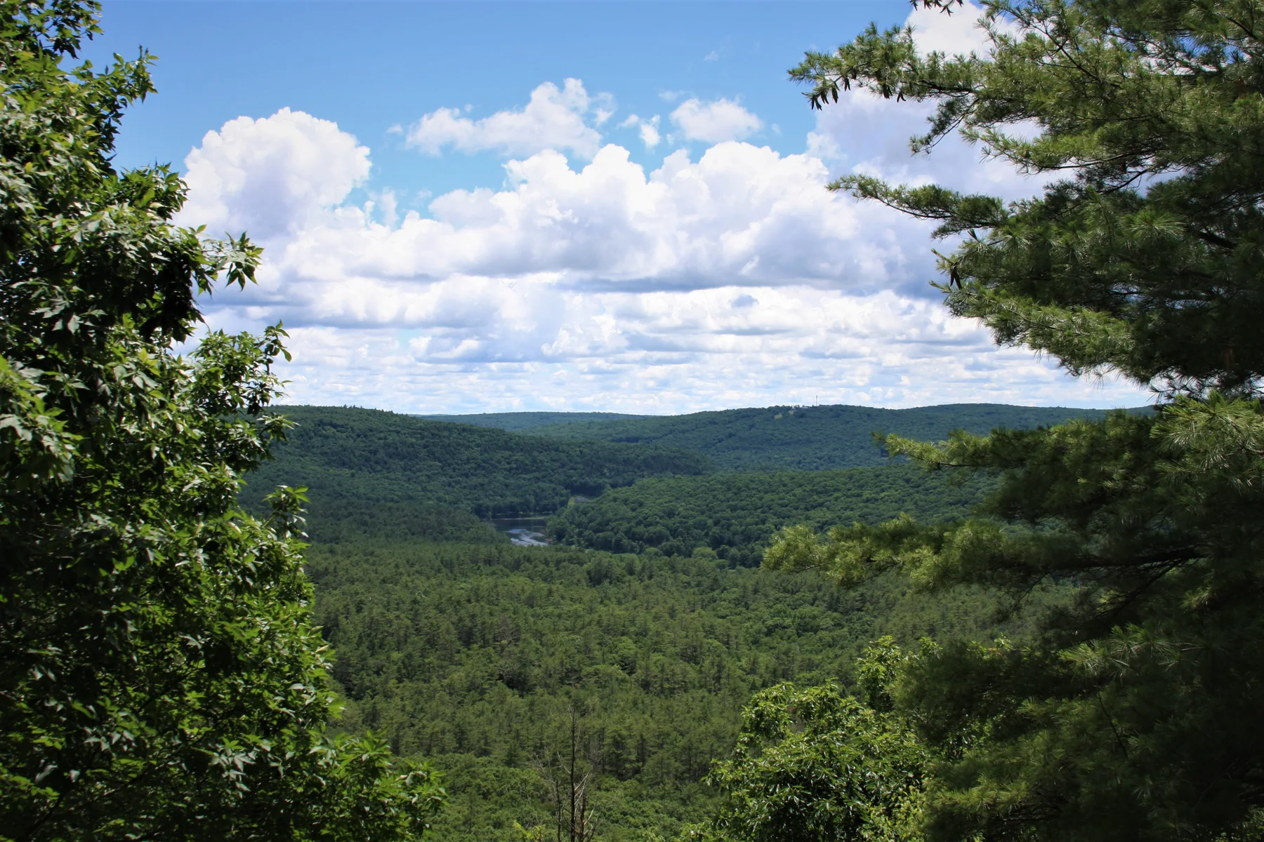 View overlooking lush river valley. Clear river cuts through rolling green tree-covered hills.
