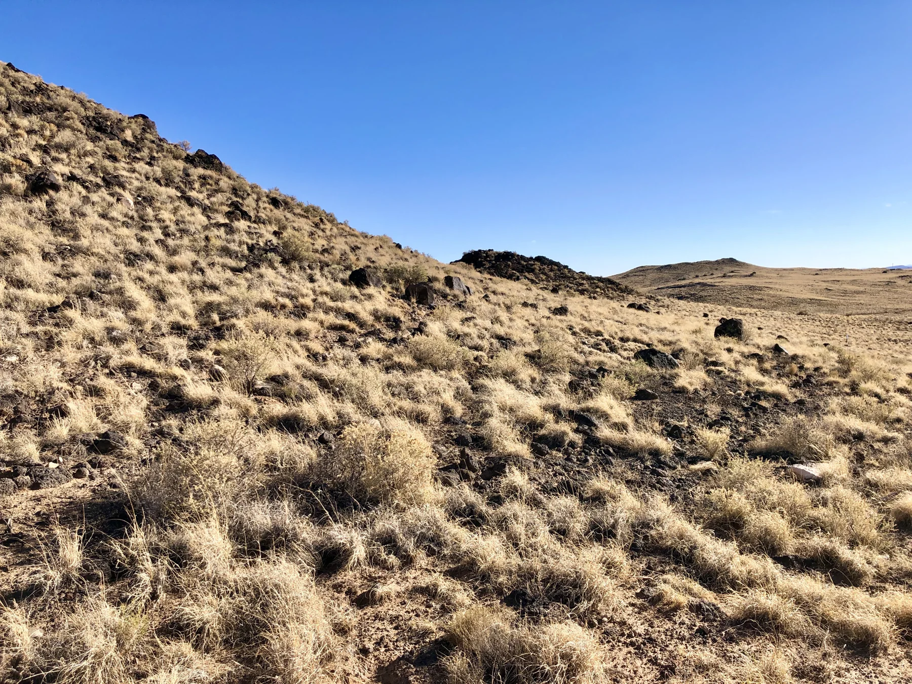 A line of cinder cone volcanoes.