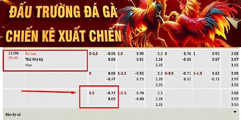 Kèo chấp nửa trái (Tỷ lệ 0.5 trái)